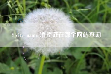 宣威消控证在哪个网站查询