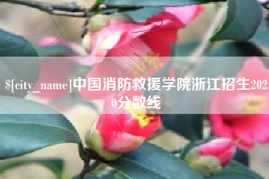 宣威中国消防救援学院浙江招生2020分数线
