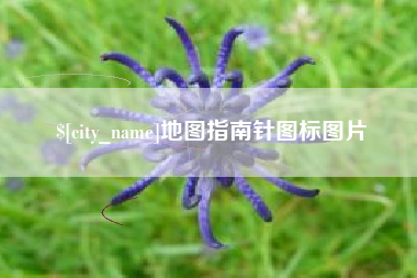 宣威地图指南针图标图片