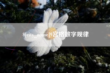 宣威9宫格数字规律