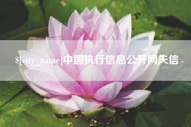 宣威中国执行信息公开网失信