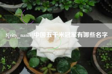 宣威中国五千米冠军有哪些名字