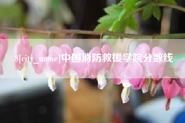 宣威中国消防救援学院分数线