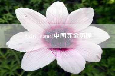 宣威中国夺金历程