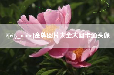 宣威金牌图片大全大图卡通头像