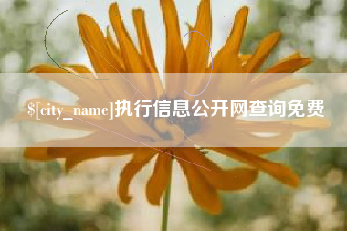 宣威执行信息公开网查询免费